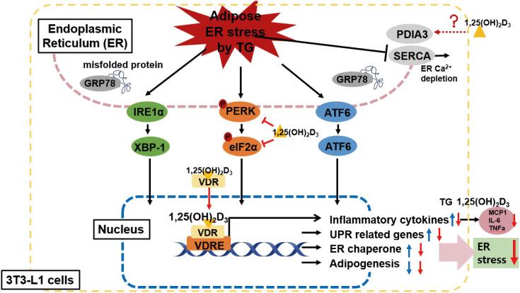https://cdn.ncbi.nlm.nih.gov/pmc/blobs/46a9/10861344/786374311c06/nrp-18-1-g008.jpg