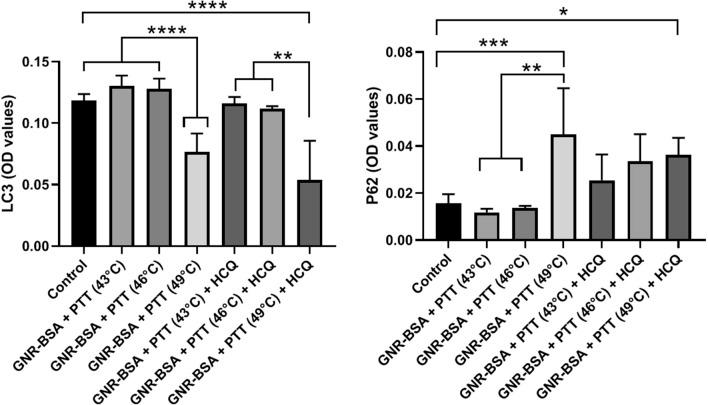 https://cdn.ncbi.nlm.nih.gov/pmc/blobs/46a9/9276769/30a0491680d1/41598_2022_15660_Fig5_HTML.jpg
