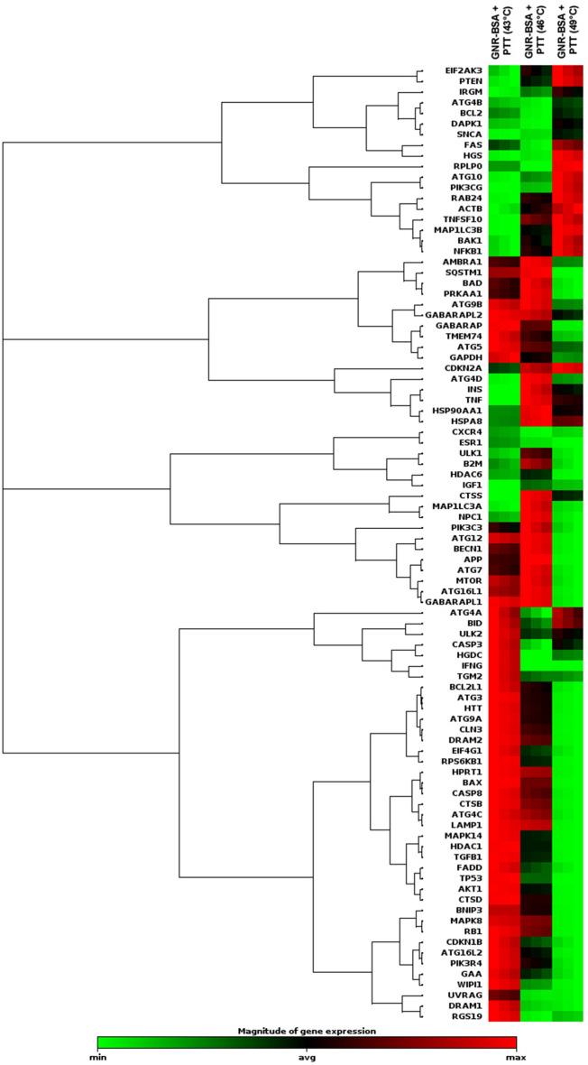 https://cdn.ncbi.nlm.nih.gov/pmc/blobs/46a9/9276769/baba44b80de1/41598_2022_15660_Fig4_HTML.jpg