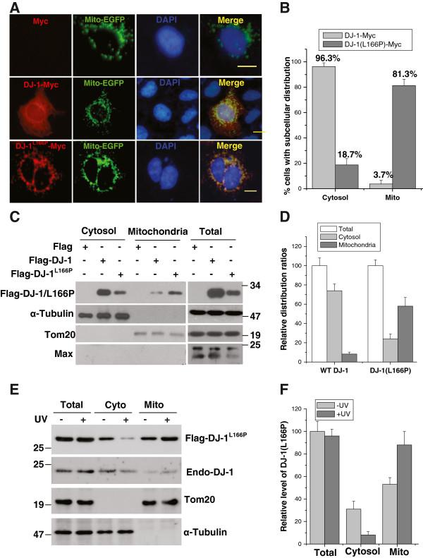 https://cdn.ncbi.nlm.nih.gov/pmc/blobs/46aa/3479024/3a1e732806c9/1750-1326-7-40-1.jpg