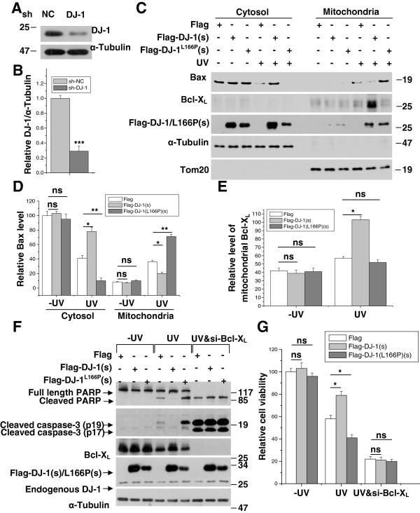 https://cdn.ncbi.nlm.nih.gov/pmc/blobs/46aa/3479024/86326a275ecc/1750-1326-7-40-5.jpg