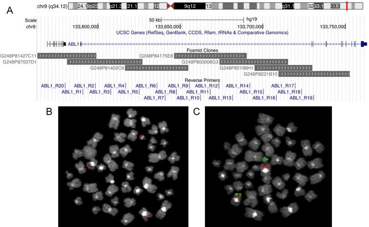 https://cdn.ncbi.nlm.nih.gov/pmc/blobs/46aa/5834283/1f5275014e30/oncotarget-09-10978-g001.jpg