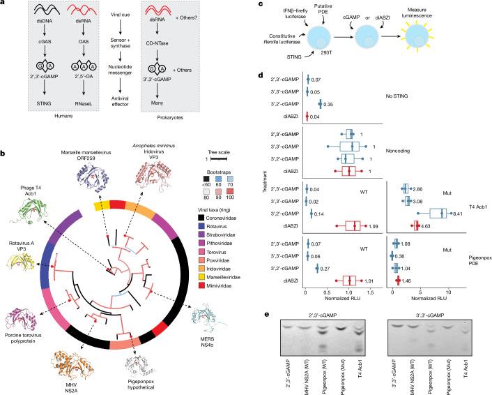 https://cdn.ncbi.nlm.nih.gov/pmc/blobs/46ab/11410667/8f9cb9b204a3/41586_2024_7809_Fig4_HTML.jpg