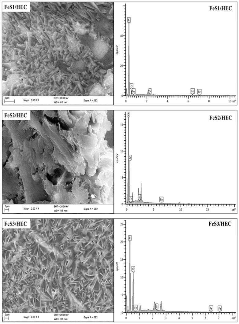 https://cdn.ncbi.nlm.nih.gov/pmc/blobs/46ab/5923517/f4a82dca042d/nanomaterials-08-00187-g007.jpg