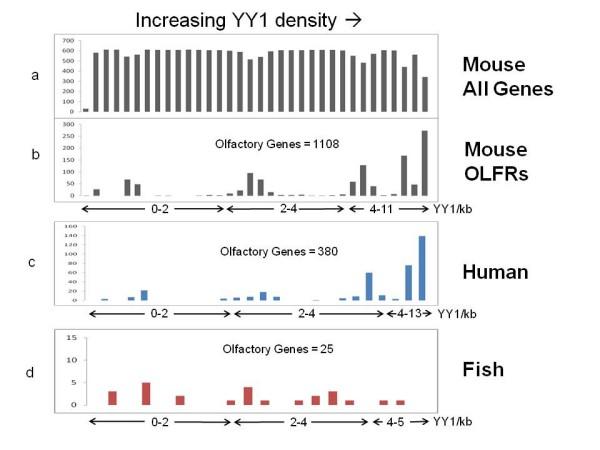 https://cdn.ncbi.nlm.nih.gov/pmc/blobs/46b0/2791781/d3055dab6fc0/1471-2164-10-576-2.jpg