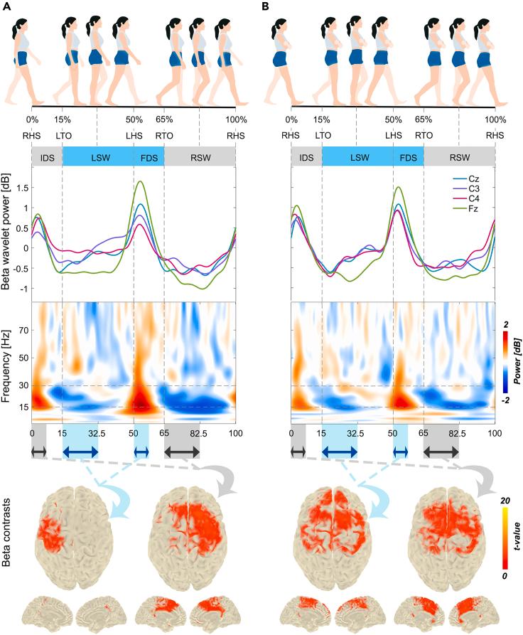 https://cdn.ncbi.nlm.nih.gov/pmc/blobs/46b1/11269954/cfda4f4555a3/gr1.jpg