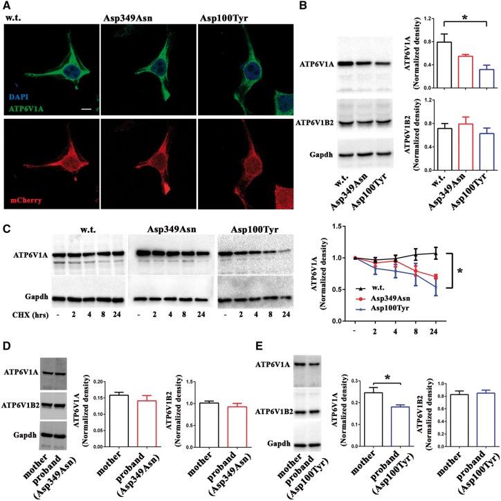 https://cdn.ncbi.nlm.nih.gov/pmc/blobs/46b1/5972584/34adad1aac07/awy092f3.jpg
