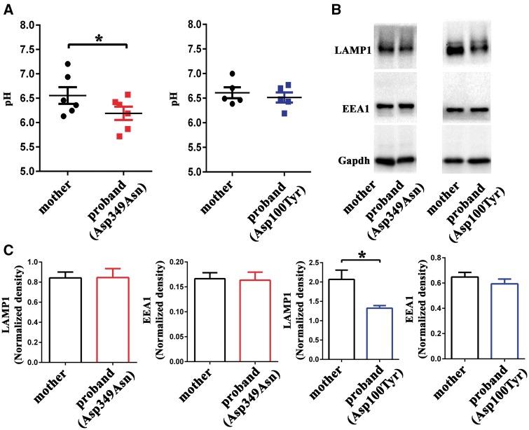 https://cdn.ncbi.nlm.nih.gov/pmc/blobs/46b1/5972584/4956cae748de/awy092f5.jpg
