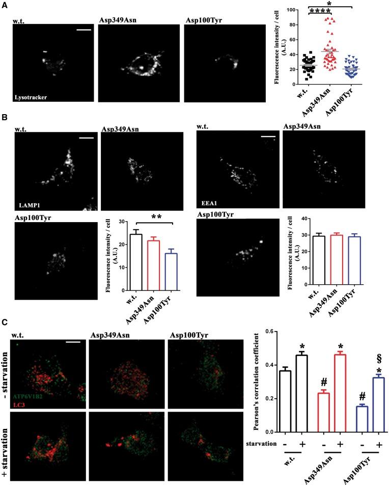 https://cdn.ncbi.nlm.nih.gov/pmc/blobs/46b1/5972584/be1ace79e496/awy092f4.jpg