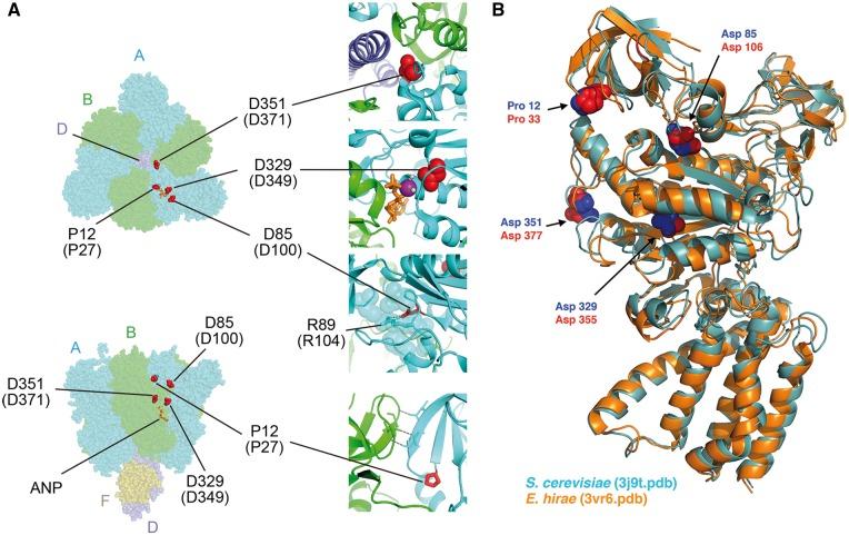 https://cdn.ncbi.nlm.nih.gov/pmc/blobs/46b1/5972584/c5f1c3f4ebcc/awy092f2.jpg