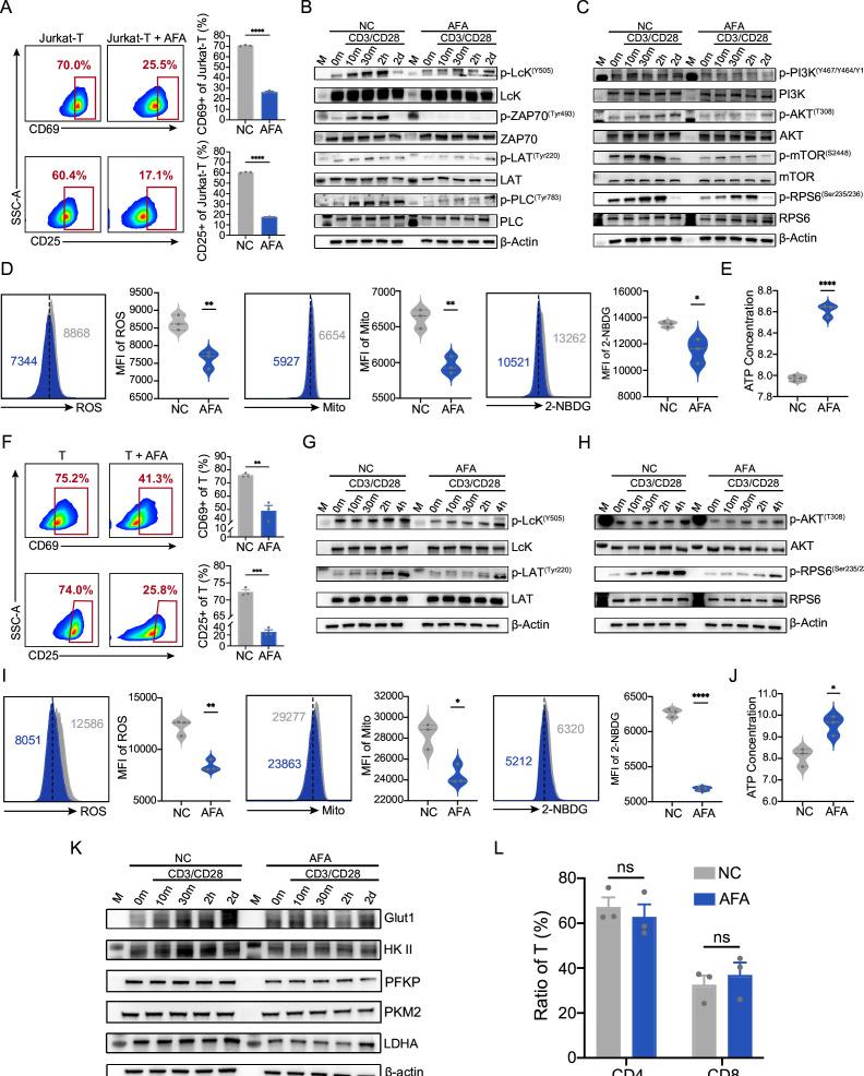 https://cdn.ncbi.nlm.nih.gov/pmc/blobs/46b2/11574435/03ec92028be8/jitc-12-11-g002.jpg