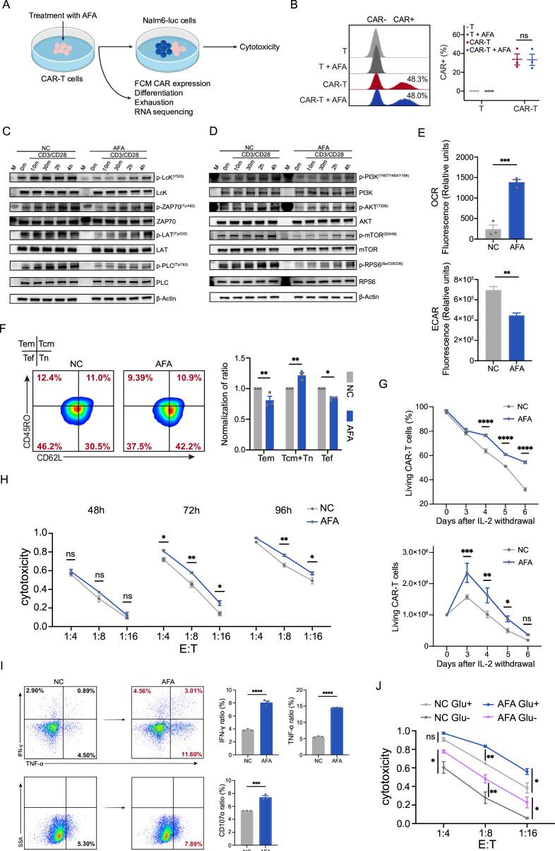 https://cdn.ncbi.nlm.nih.gov/pmc/blobs/46b2/11574435/82454d400fc7/jitc-12-11-g004.jpg