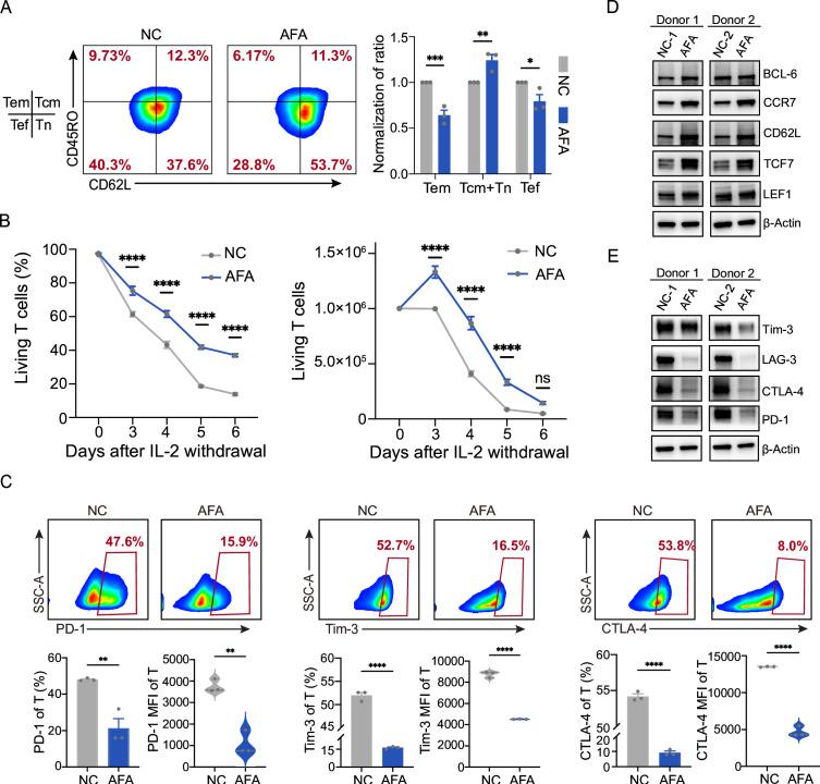 https://cdn.ncbi.nlm.nih.gov/pmc/blobs/46b2/11574435/884f9910a574/jitc-12-11-g003.jpg