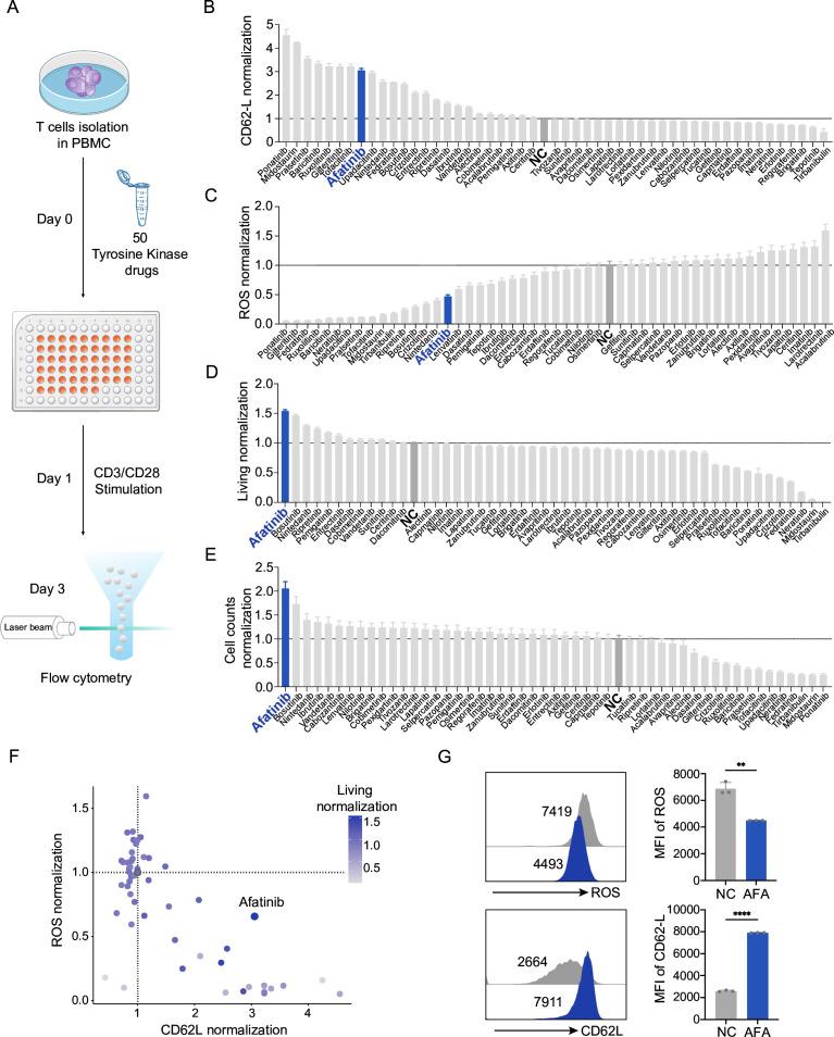https://cdn.ncbi.nlm.nih.gov/pmc/blobs/46b2/11574435/b7835e2d7daf/jitc-12-11-g001.jpg