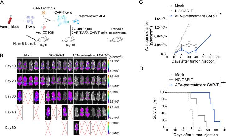 https://cdn.ncbi.nlm.nih.gov/pmc/blobs/46b2/11574435/fc64111e01df/jitc-12-11-g006.jpg