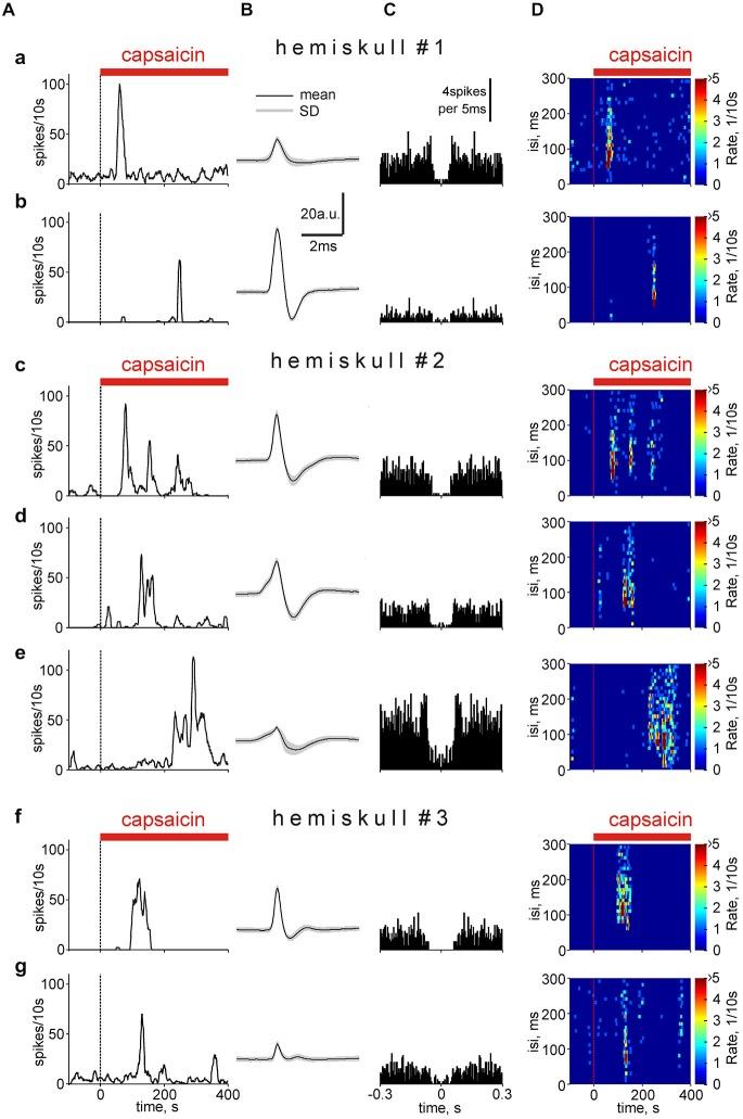 https://cdn.ncbi.nlm.nih.gov/pmc/blobs/46b2/4516892/1b500bb84017/fncel-09-00287-g0008.jpg