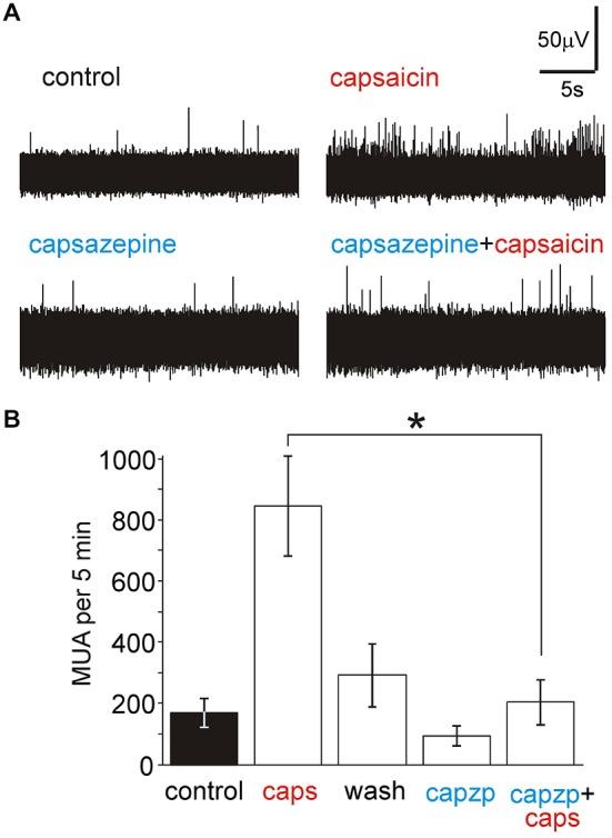 https://cdn.ncbi.nlm.nih.gov/pmc/blobs/46b2/4516892/5966d5acadd6/fncel-09-00287-g0004.jpg