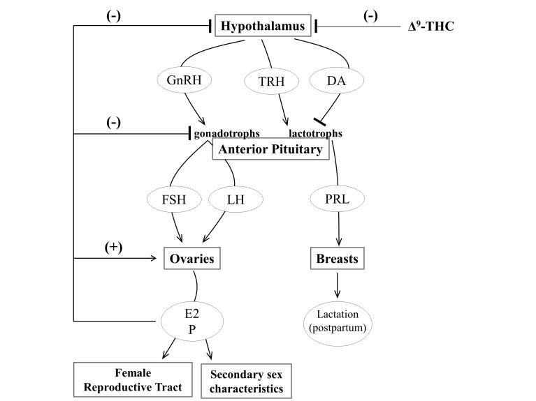 https://cdn.ncbi.nlm.nih.gov/pmc/blobs/46b2/4918871/52e2f6fcb264/yjbm_89_2_175_g03.jpg