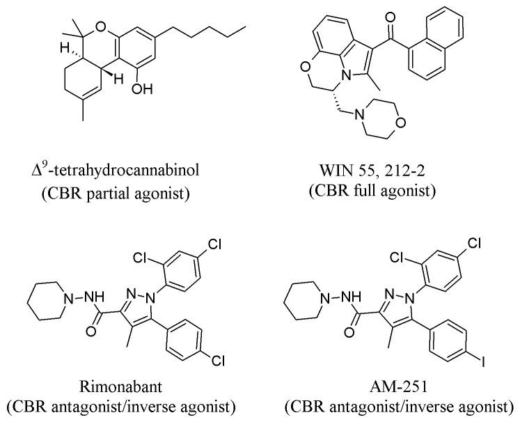 https://cdn.ncbi.nlm.nih.gov/pmc/blobs/46b2/4918871/ff23a51e5ee1/yjbm_89_2_175_g02.jpg