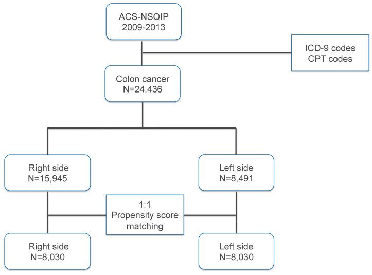 https://cdn.ncbi.nlm.nih.gov/pmc/blobs/46b3/11242415/2816501bae5a/jcm-13-03654-g001.jpg