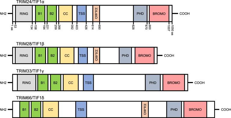 https://cdn.ncbi.nlm.nih.gov/pmc/blobs/46b5/11334367/103f3751d503/13578_2024_1289_Fig1_HTML.jpg