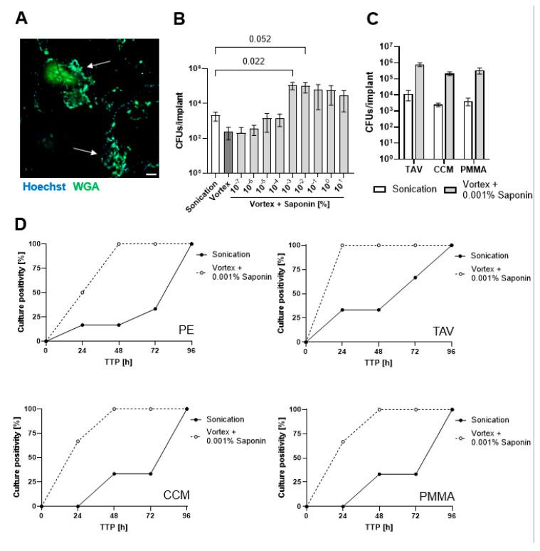 https://cdn.ncbi.nlm.nih.gov/pmc/blobs/46b8/12029792/85d91566c4ea/microorganisms-13-00836-g001.jpg