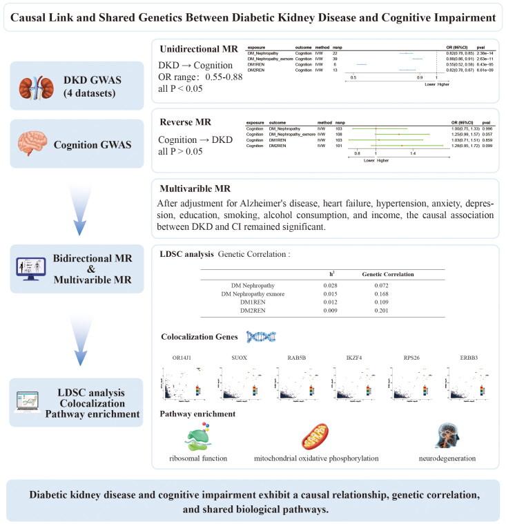 https://cdn.ncbi.nlm.nih.gov/pmc/blobs/46b8/12217110/e21022692135/IRNF_A_2525471_UF0001_C.jpg