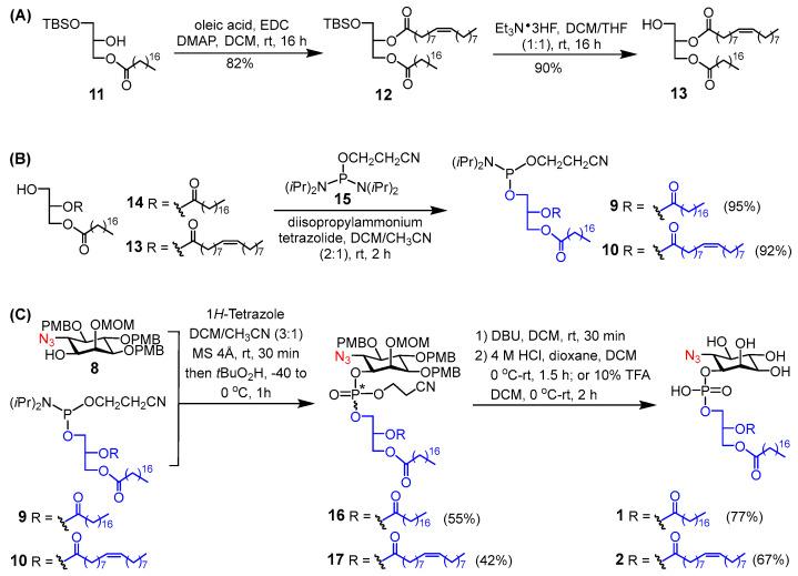 https://cdn.ncbi.nlm.nih.gov/pmc/blobs/46b9/11547759/8c0226db5896/molecules-29-04981-sch002.jpg