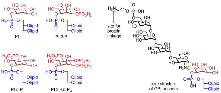 https://cdn.ncbi.nlm.nih.gov/pmc/blobs/46b9/11547759/a655340acdbb/molecules-29-04981-g001.jpg