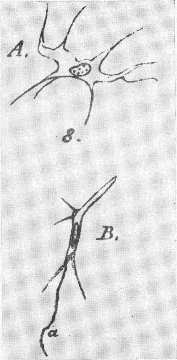https://cdn.ncbi.nlm.nih.gov/pmc/blobs/46b9/1863991/c82b4a18a232/procrsmed00040-0037-b.jpg
