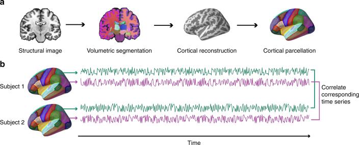 https://cdn.ncbi.nlm.nih.gov/pmc/blobs/46b9/5790806/db764905724e/41467_2017_2722_Fig2_HTML.jpg
