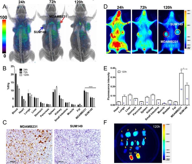 https://cdn.ncbi.nlm.nih.gov/pmc/blobs/46ba/4891115/ce4902d694d1/oncotarget-07-10215-g003.jpg
