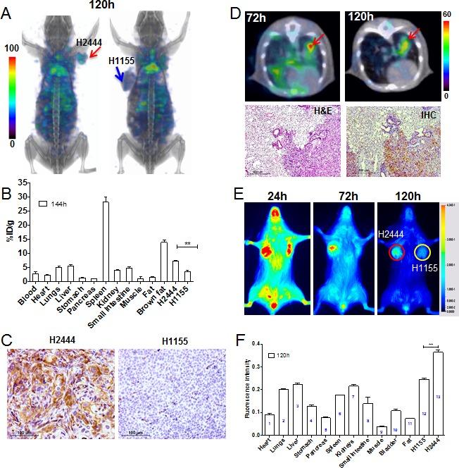 https://cdn.ncbi.nlm.nih.gov/pmc/blobs/46ba/4891115/e7fa09c29403/oncotarget-07-10215-g004.jpg