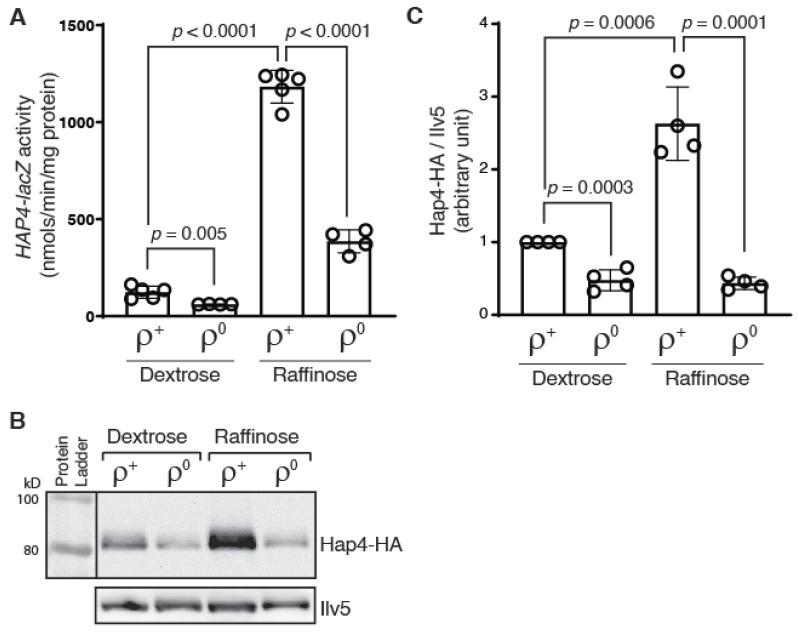 https://cdn.ncbi.nlm.nih.gov/pmc/blobs/46bc/9787919/799edab3ab2c/microorganisms-10-02370-g001.jpg
