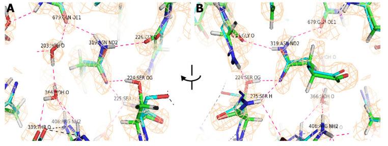 https://cdn.ncbi.nlm.nih.gov/pmc/blobs/46bd/7589773/7d5932dd926b/viruses-12-01194-g005.jpg