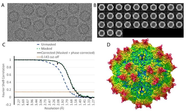 https://cdn.ncbi.nlm.nih.gov/pmc/blobs/46bd/7589773/c9759e248aa0/viruses-12-01194-g001.jpg