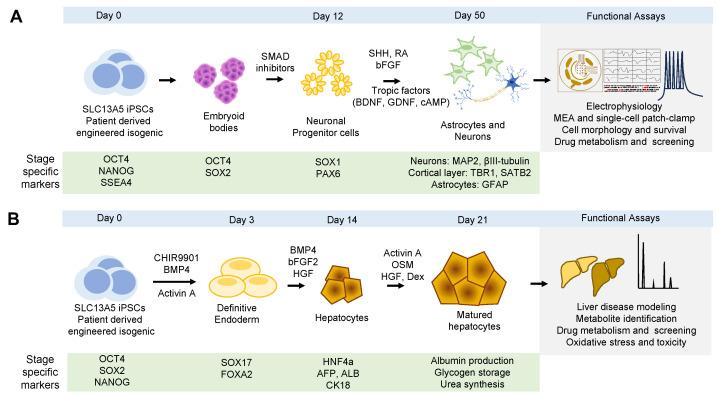 https://cdn.ncbi.nlm.nih.gov/pmc/blobs/46bf/10890222/2fdd620f90c6/metabolites-14-00084-g004.jpg