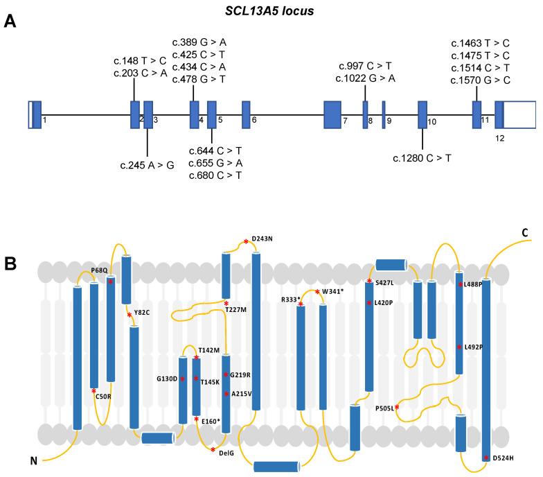 https://cdn.ncbi.nlm.nih.gov/pmc/blobs/46bf/10890222/a66fbf474716/metabolites-14-00084-g001.jpg