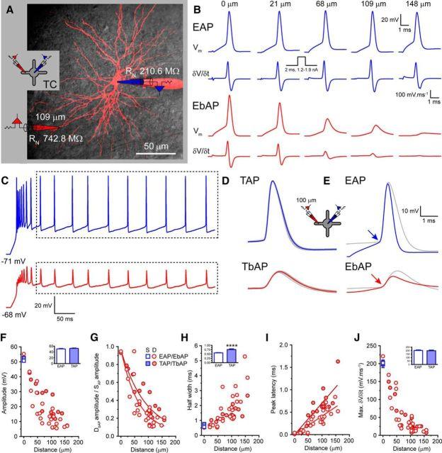 https://cdn.ncbi.nlm.nih.gov/pmc/blobs/46c0/5456112/cbe0bd874c66/zns9991797460004.jpg