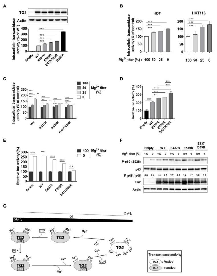 https://cdn.ncbi.nlm.nih.gov/pmc/blobs/46c1/7037829/c58378382121/ijms-21-00791-g006.jpg