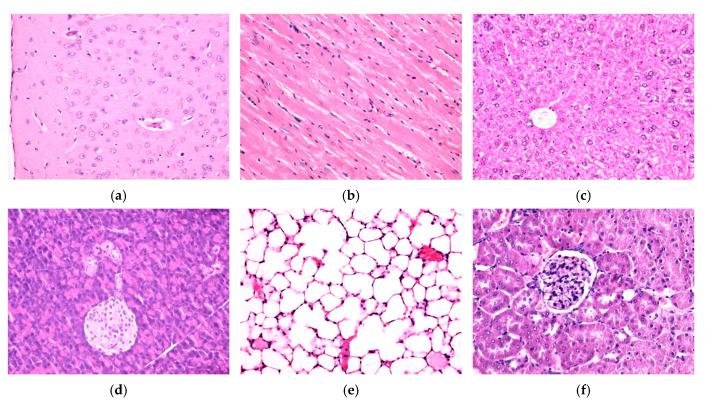 https://cdn.ncbi.nlm.nih.gov/pmc/blobs/46c5/12073745/5e54265f404b/nanomaterials-15-00637-g012a.jpg