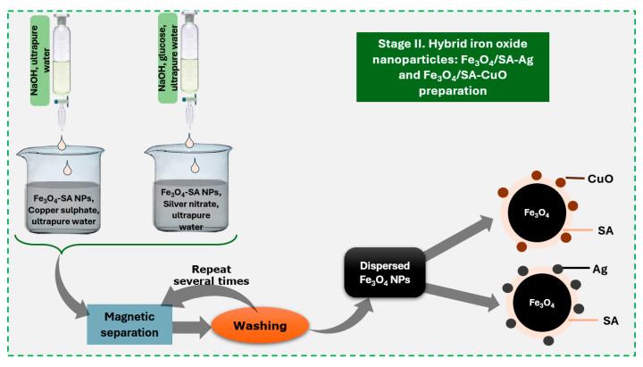 https://cdn.ncbi.nlm.nih.gov/pmc/blobs/46c5/12073745/8095951e1846/nanomaterials-15-00637-g002.jpg