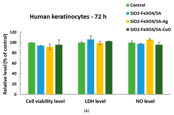 https://cdn.ncbi.nlm.nih.gov/pmc/blobs/46c5/12073745/9e0d641ce6f1/nanomaterials-15-00637-g015a.jpg