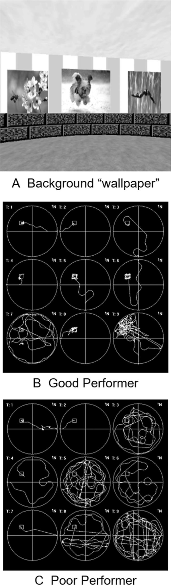 https://cdn.ncbi.nlm.nih.gov/pmc/blobs/46c5/7034508/916b31a1cd0b/ACN3-7-245-g001.jpg