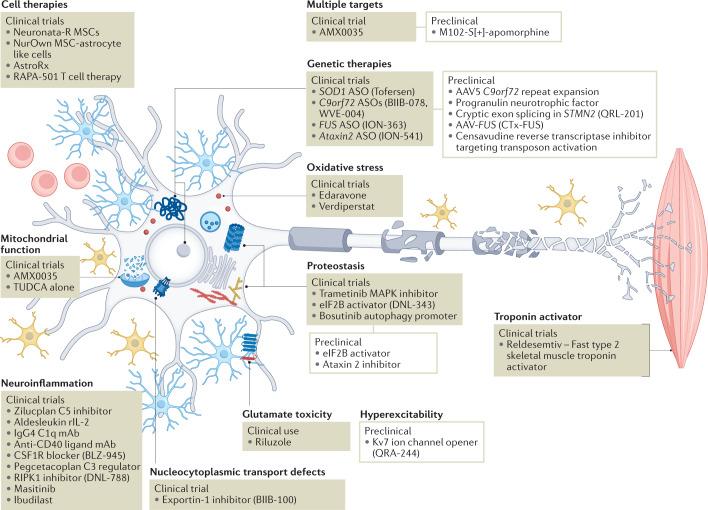 https://cdn.ncbi.nlm.nih.gov/pmc/blobs/46c7/9768794/880b8ec54081/41573_2022_612_Fig2_HTML.jpg