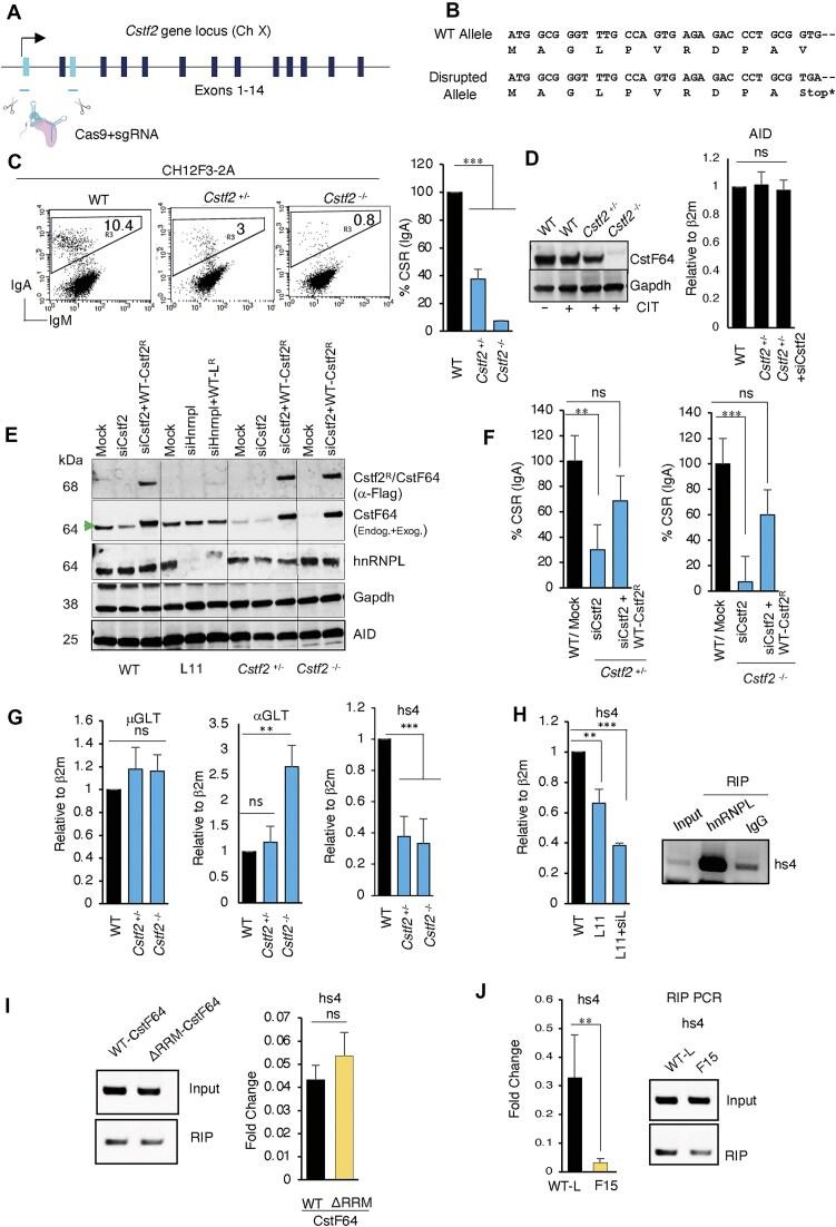 https://cdn.ncbi.nlm.nih.gov/pmc/blobs/46c8/12407099/0fa97696bbec/gkaf810fig4.jpg