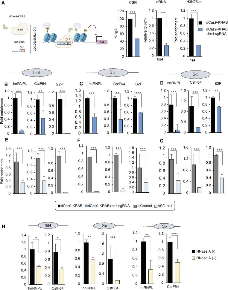 https://cdn.ncbi.nlm.nih.gov/pmc/blobs/46c8/12407099/4a25f50e1bf9/gkaf810fig7.jpg