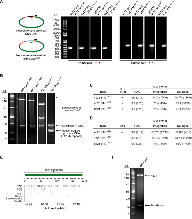 https://cdn.ncbi.nlm.nih.gov/pmc/blobs/46c8/6657561/dea18848e62c/figs2.jpg