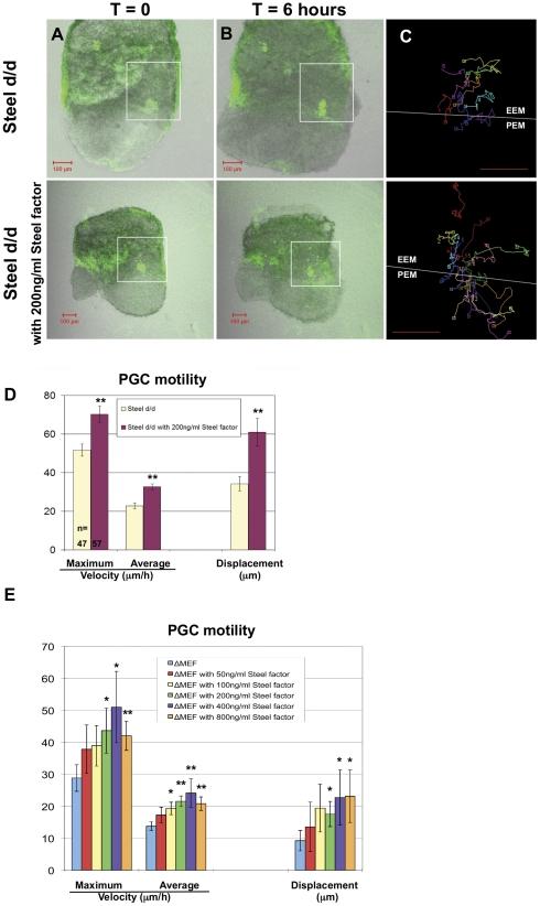 https://cdn.ncbi.nlm.nih.gov/pmc/blobs/46c9/3188585/8fe9801c5f58/pone.0025984.g004.jpg