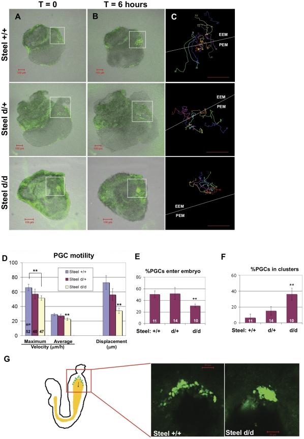 https://cdn.ncbi.nlm.nih.gov/pmc/blobs/46c9/3188585/e06812db94d9/pone.0025984.g003.jpg